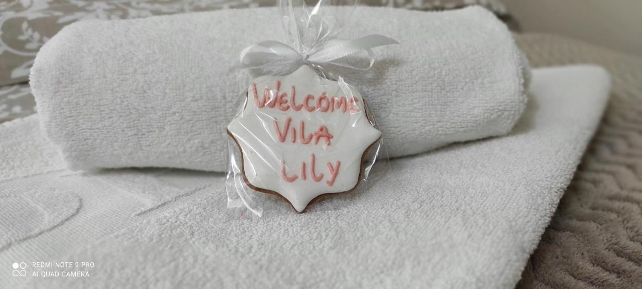 Vila Lily Villa Szendrő Kültér fotó
